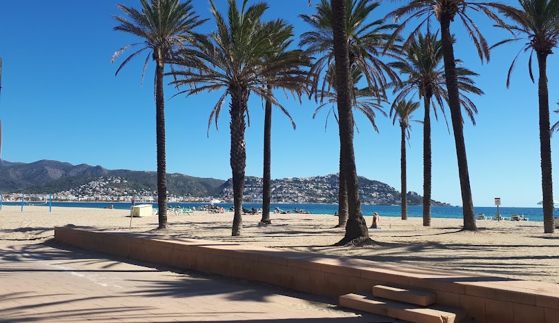 Platja de Roses amb palmeres